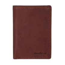 917038 dark brown �������� Gianni Conti#E