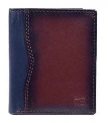 6822 brown 02 �������� Miguel Bellido#E