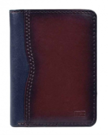 6882 brown 02 �������� Miguel Bellido#E