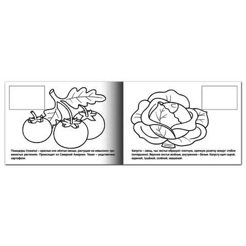 Книжка-раскраска А5, 4 л., HATBER с наклейками, Мои первые уроки, "Овощи", 4Р5н 05827, R133163, 20шт.#S