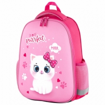   EVA BASIC, 1 , "Fluffy cat", 393016 , 270691#S