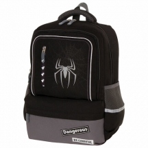Рюкзак BRAUBERG STAR, "Spider", черный, 40х29х13 см, 229978#S