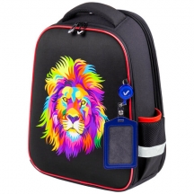  BRAUBERG FIT, 2 , "Colorful lion", 382714 , 270618#S