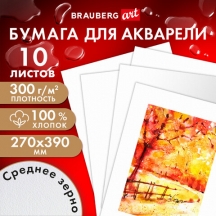     100%, 300 , 270x390 ,  , 10 , BRAUBERG ART PREMIERE, 115336#S