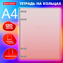     305235  4, 120 ., ,  , BRAUBERG, , 404626, 2.#S