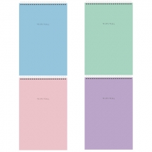    4 198297 , 80 ., , , , BRAUBERG "Minimal Pastel", 116425, 8.#S