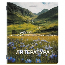     48 .,  , , , , BRAUBERG, 405090, 20.#S