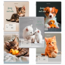  12 . BRAUBERG  ,  , CATS AND DOGS, 107288, 60.#S