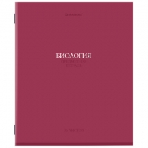   "" 36 .,   , , , BRAUBERG, 405072, 30.#S
