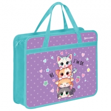      BRAUBERG 4, 1 , , 80 , "Funny kittens", 273368, 4.#S