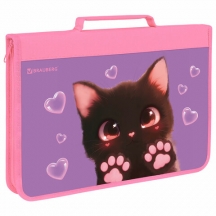    BRAUBERG 4  ,  , 1 , "Paw prints", 273383, 3.#S
