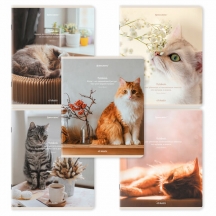  5, 48 ., BRAUBERG, , ,  , "Cats", (  ), 405334, 20.#S
