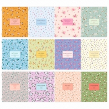  ,  12 , 48 .,  , BRAUBERG "BLOSSOM", 405179, 2.#S