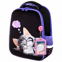  BRAUBERG FIT, 2 , Sleeping kitten,  , 382714 , 273107#S