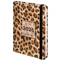   2026   145203 , 5, BRAUBERG, , , "", 117334, 4.#S