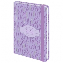   2026   145203 , 5, BRAUBERG , , "", 117344, 4.#S