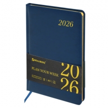   2026, 5, 145215 , BRAUBERG "Iguana",  , , 117170, 2.#S