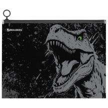    BRAUBERG 4, 1 , ,  zip-lock , "Scary dino", 273321, 24.#S