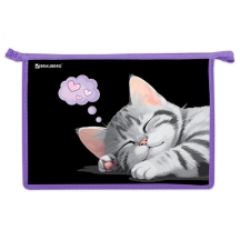      BRAUBERG 4, 2 , , "Sleeping kitten", 273401, 4.#S