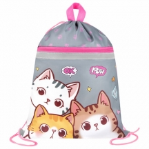    BRAUBERG,  ,  , 2 , 4636 , "Hi there", 273449, 3.#S
