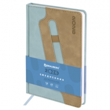   2026, 5, 138x213 , BRAUBERG "Assistant",  , , , 117375, 2.#S