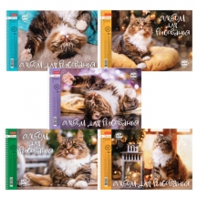 ������ ��� ��������� �4 24 �., �������, ������� ������, HATBER, 198�300 ��, "��� �����" (5 �����), 079771, 24�4���, 20��.#S