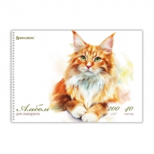 ������ ��� �������� �4 40 �., ������ 200 �/�2, �������, ������� ��������, BRAUBERG, "����-���", 116884, 4��.#S