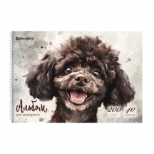 ������ ��� �������� �4 40 �., ������ 200 �/�2, �������, ������� ��������, BRAUBERG, "������", 116885, 4��.#S