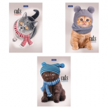 ������� ����� ������ �6, 40 �., �������, ���������� ������, ������, ��������� ���������, HATBER, "�����������", 057230, 40�6�A1�, 42��.#S