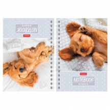 ������� ����� ������ �6, 80 �., �������, ������� ������, ������ 2 ��., HATBER, "������-���������", 082842, 80����6�1��_301, 12��.#S