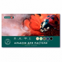 ������ ��� ������� ������� �3, 20 ������, 5 ������, 180 �/�2, �������, BRAUBERG ART CLASSIC, 116344, 4��.#S