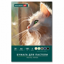������ ��� ������� �4 � �����, 20 ������, 5 ������, 180 �/�2, BRAUBERG ART CLASSIC, 116345, 8��.#S