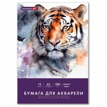 ������ ��� �������� ������� �3 � �����, 15 ������, 300 �/�2, ������� �����, BRAUBERG ART CLASSIC, 116354, 3��.#S