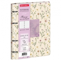 ������� �� ������� ������� �4, 240�310 ��, 120 �., ��� ����, BRAUBERG VISTA, "���������� �����", 405204, 2��.#S