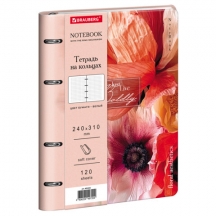 ������� �� ������� ������� �4, 240�310 ��, 120 �., ��� ����, BRAUBERG VISTA, "Bloom", 405205, 2��.#S