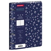 ������� �� ������� �5, 175�215 ��, 120 �., ��� ����, BRAUBERG VISTA, "��������� �������", 405206, 3��.#S