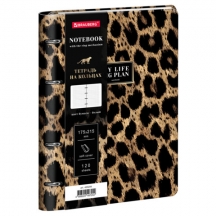 ������� �� ������� �5, 175�215 ��, 120 �., ��� ����, BRAUBERG VISTA, "�������", 405209, 3��.#S