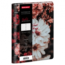 ������� �� ������� �5, 175�215 ��, 120 �., ��� ����, BRAUBERG VISTA, "�����", 405210, 3��.#S