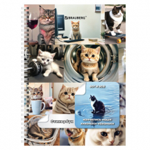 ��������� ������ ������ �6, 16 ������, 96 ������� ��������, �� ������, BRAUBERG, "���� ����", 666050, 5��.#S