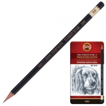 ��������� �������������� KOH-I-NOOR "Toison D'or", ����� 12 ��., 8B-2H, ������������� �������, 1912012001PL, 1912012001PLRU#S