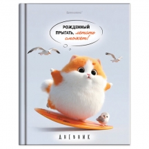 ������� 5-11 ����� 48 �., �������, BRAUBERG, ��������� ���������, � ���������, "�������� ���������", 107609, 12��.#S