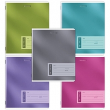 ������� 12 �. BRAUBERG ������, ������� ������, ONE COLOUR, 107776, 60��.#S