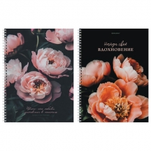 ������� �4, 120 �., BRAUBERG, �������, ������, ��������� ���, "�����", 405645, 8��.#S