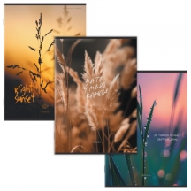 ������� �4 80 �. STAFF "College" �����, ������, ����� �2 ������, ������� ������, ��������, 405617, 15��.#S