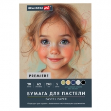 ������ ��� ������� ���������� �3 � �����, 20 ������, 5 ������, 240 �/�2, BRAUBERG ART, 117764, 2��.#S