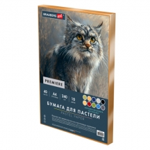 ������ ��� ������� ���������� �4 � �������, 40 ������, 10 ������, 240 �/�2, BRAUBERG ART, 117767, 5��.#S