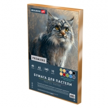 ������ ��� ������� ���������� �3 � �������, 40 ������ 10 ������, 240 �/�2, BRAUBERG ART, 117768, 3��.#S