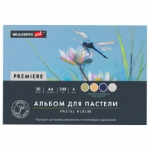 ������ ��� ������� ���������� �4, ������ (�������), 20 ������, 4 �����, 240 �/�2, BRAUBERG ART, 117769, 4��.#S