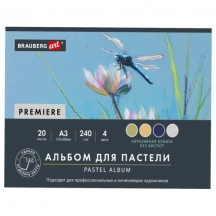 ������ ��� ������� ���������� �3, ������ (�������), 20 ������, 4 �����, 240 �/�2, BRAUBERG ART, 117770, 2��.#S