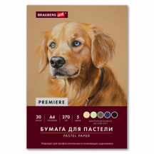 ������ ��� ������� ���������, �4, � �����, 20 ������, 5 ������, 270 �/�2, BRAUBERG ART, 117755, 3��.#S